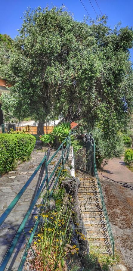 Villa Fourtuna Apartment Agios Ioannis Peristerion Exterior foto